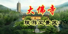 操美女的逼b免费裸体视频中国浙江-新昌大佛寺旅游风景区